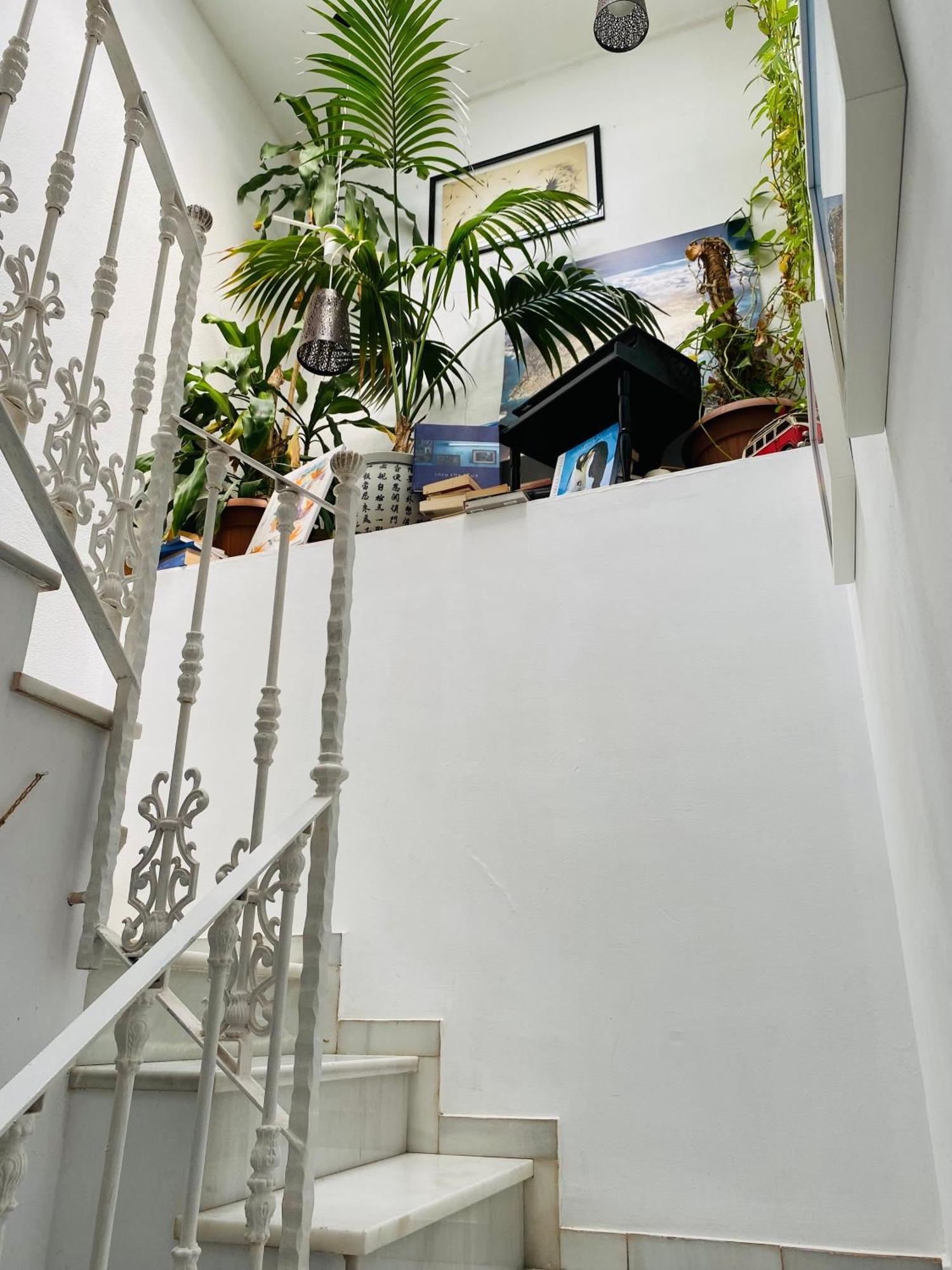 Atico Cadiz Suite Exteriör bild